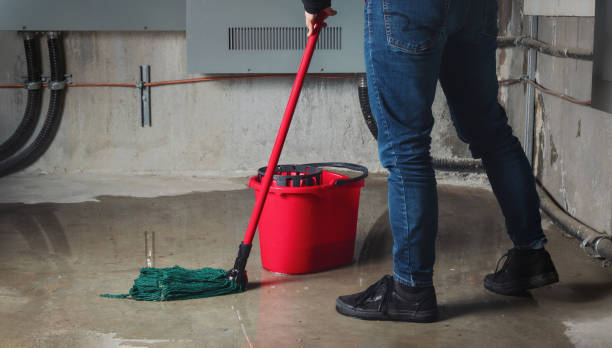 Best Water damage restoration near me  in Ewa Gentry, HI